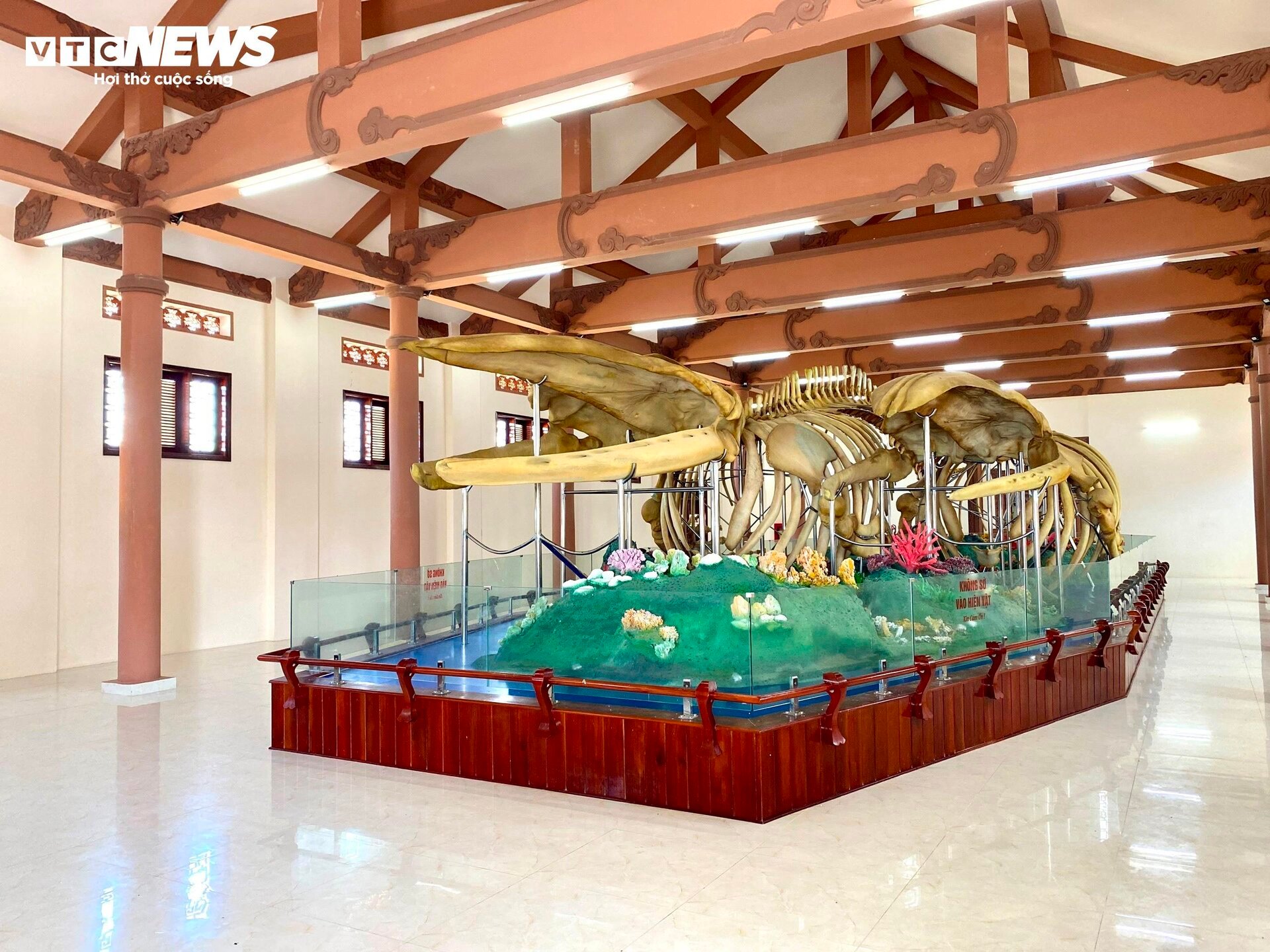 Đến đảo Lý Sơn, mục sở thị 2 bộ xương cá voi lớn nhất Việt Nam - Ảnh 6.