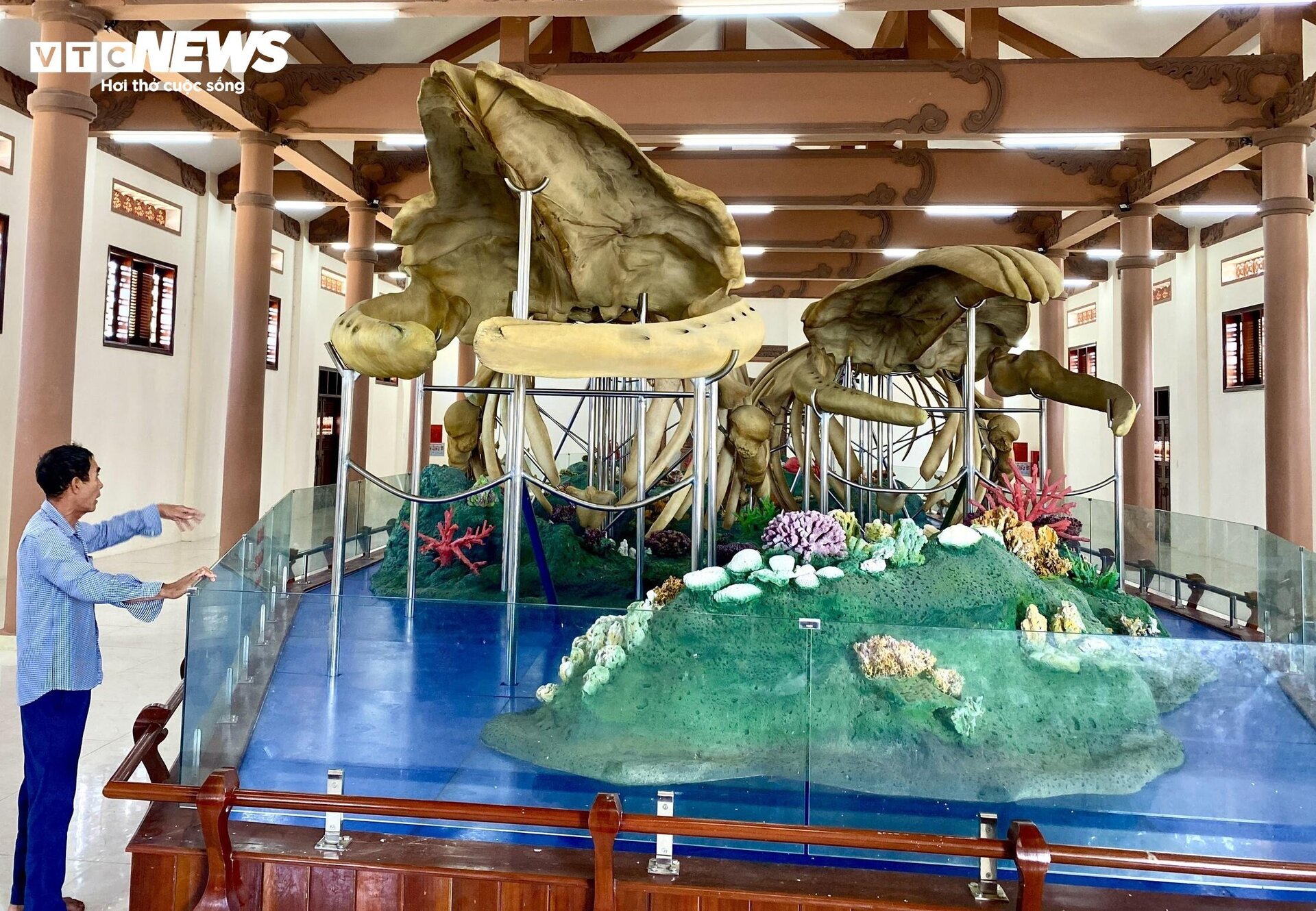 Đến đảo Lý Sơn, mục sở thị 2 bộ xương cá voi lớn nhất Việt Nam - Ảnh 1.