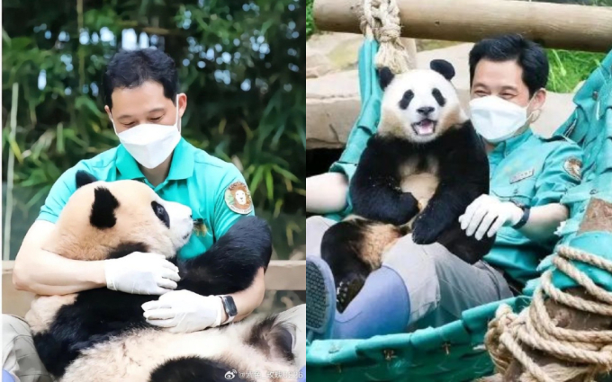 Chuyện ít biết về 2 &quot;ông nội&quot; của Fubao: Nhận tin buồn ngay trước ngày chia tay &quot;cháu gái&quot;, tập nói chuyện tiếng Trung vì sợ &quot;cháu&quot; không quen - Ảnh 7.