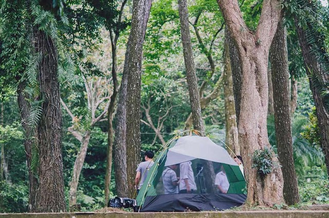 Nơi phát hiện có hàng triệu cánh bướm như truyện cổ tích, thì ra là điểm quen thuộc, cách Hà Nội hơn 100km - Ảnh 6.