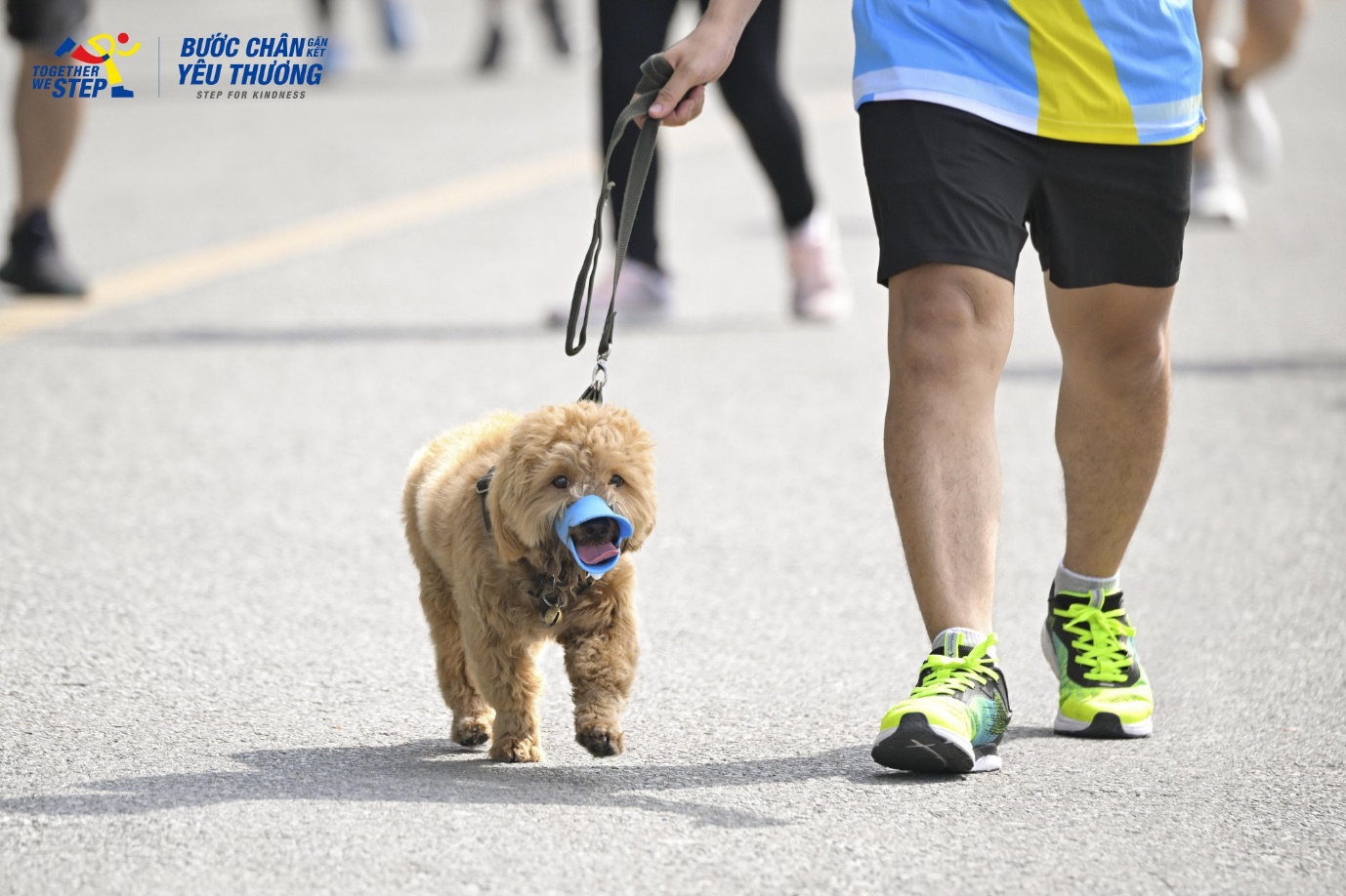 H&agrave;ng ngh&igrave;n người c&ugrave;ng nhau g&oacute;p &ldquo;Bước ch&acirc;n gắn kết y&ecirc;u thương&rdquo;, g&acirc;y quỹ cải tạo bếp ăn cho trẻ mầm non - Ảnh 3.