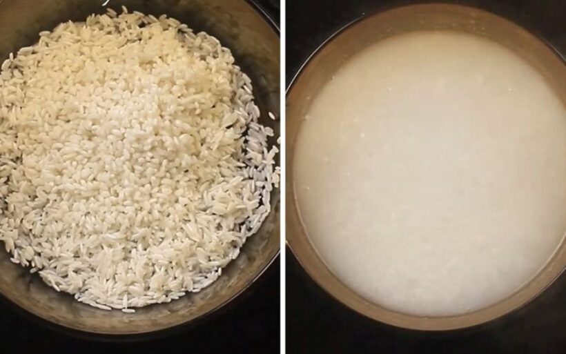 Cách nấu cháo hạt sen siêu dinh dưỡng cho cả gia đình - Ảnh 2.