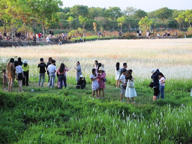 Giữa lòng Sài Gòn có một "ngôi làng" đặc biệt: 6 trường ĐH top đầu nằm sát nhau, khu KTX với sức chứa 50.000 người- Ảnh 13.