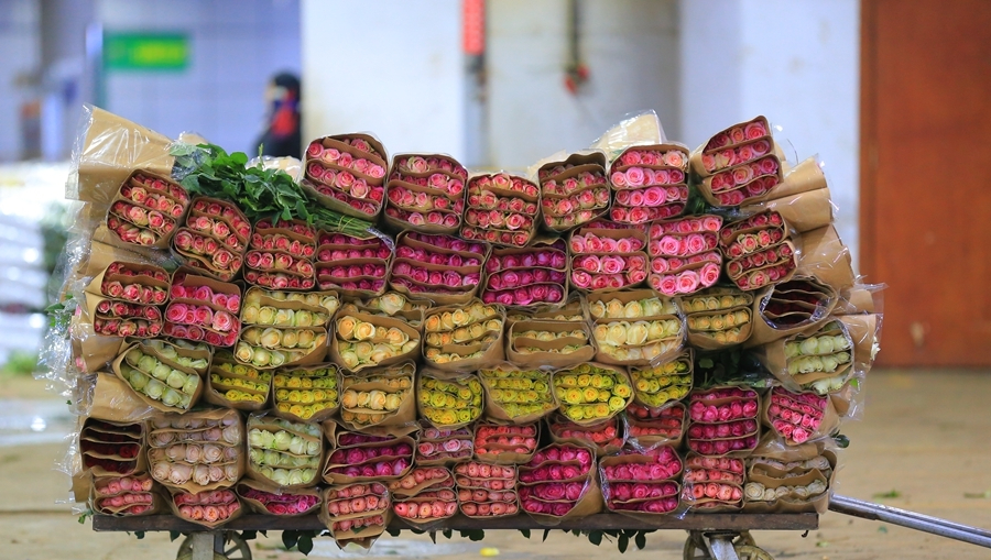 Dạo một vòng chợ hoa hoành tráng nhất Trung Quốc: Hơn 1.600 loại hoa thỏa sức mà lựa, giá rẻ chưa từng thấy- Ảnh 15.
