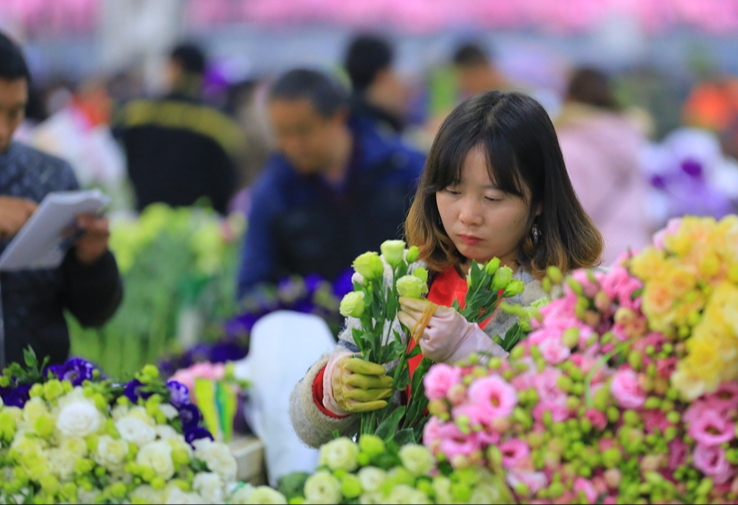 Dạo một vòng chợ hoa hoành tráng nhất Trung Quốc: Hơn 1.600 loại hoa thỏa sức mà lựa, giá rẻ chưa từng thấy- Ảnh 16.