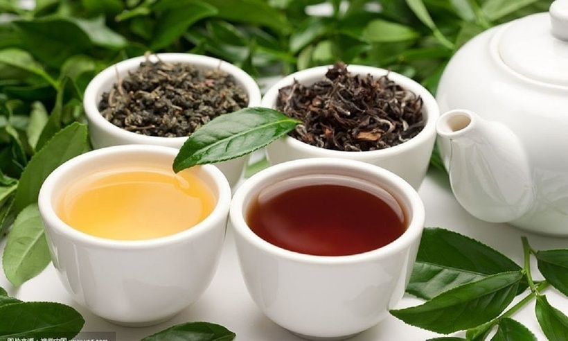 Tr&agrave; đ&atilde; hết hạn sử dụng liệu c&oacute; uống được? Sự thật bất ngờ? - Ảnh 4.