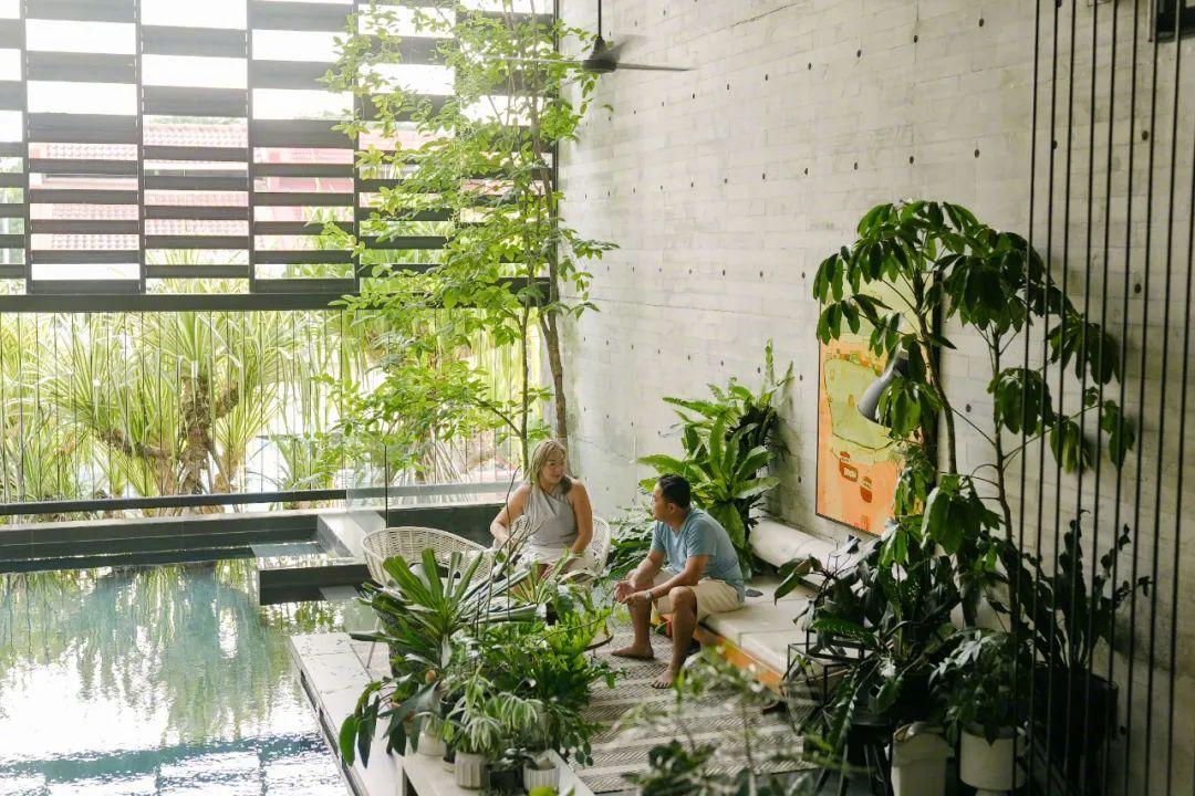 Cặp vợ chồng xây nhà có thiết kế bể bơi treo siêu độc đáo, giành giải thưởng căn nhà của năm - Ảnh 2.