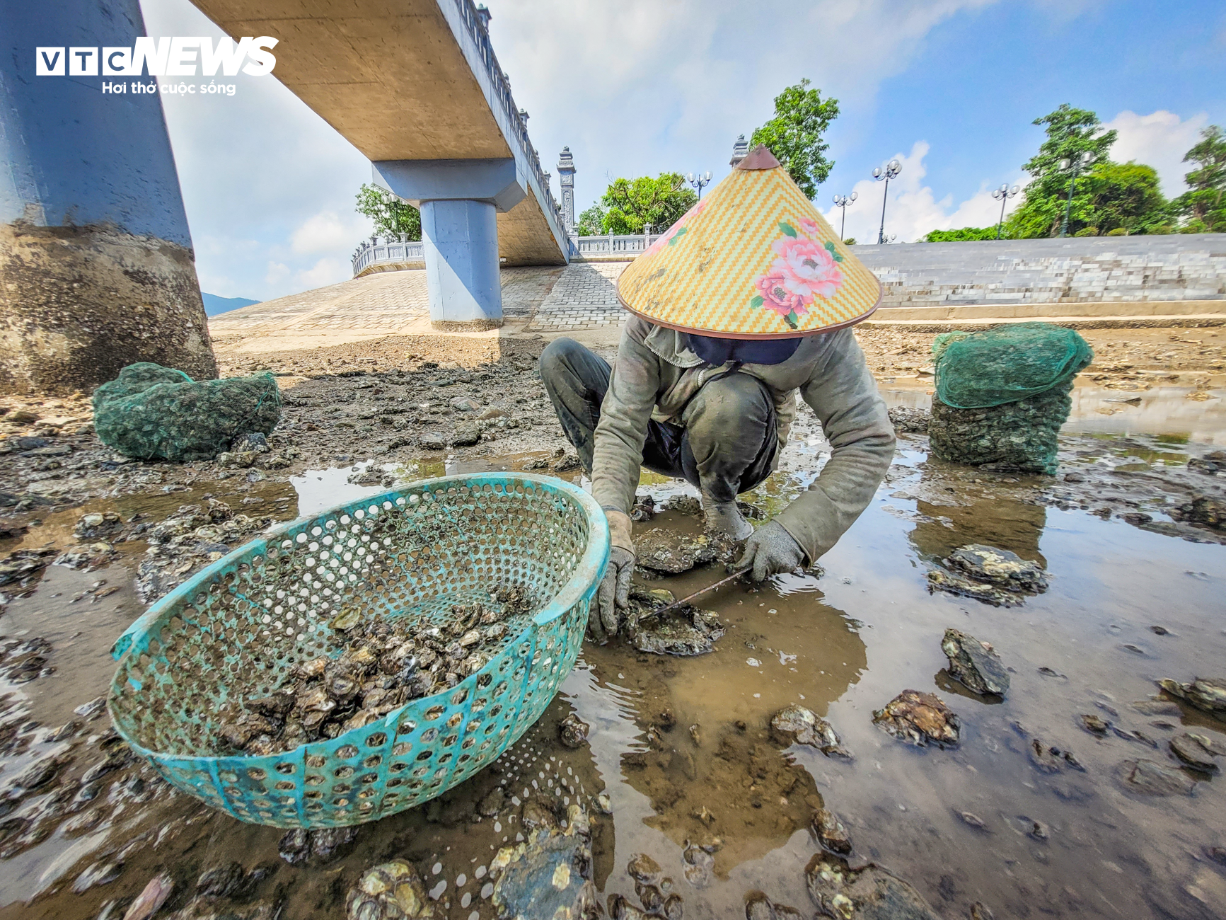 Nghề đẽo đá &quot;ra tiền&quot; của những người phụ nữ vùng biển - Ảnh 5.