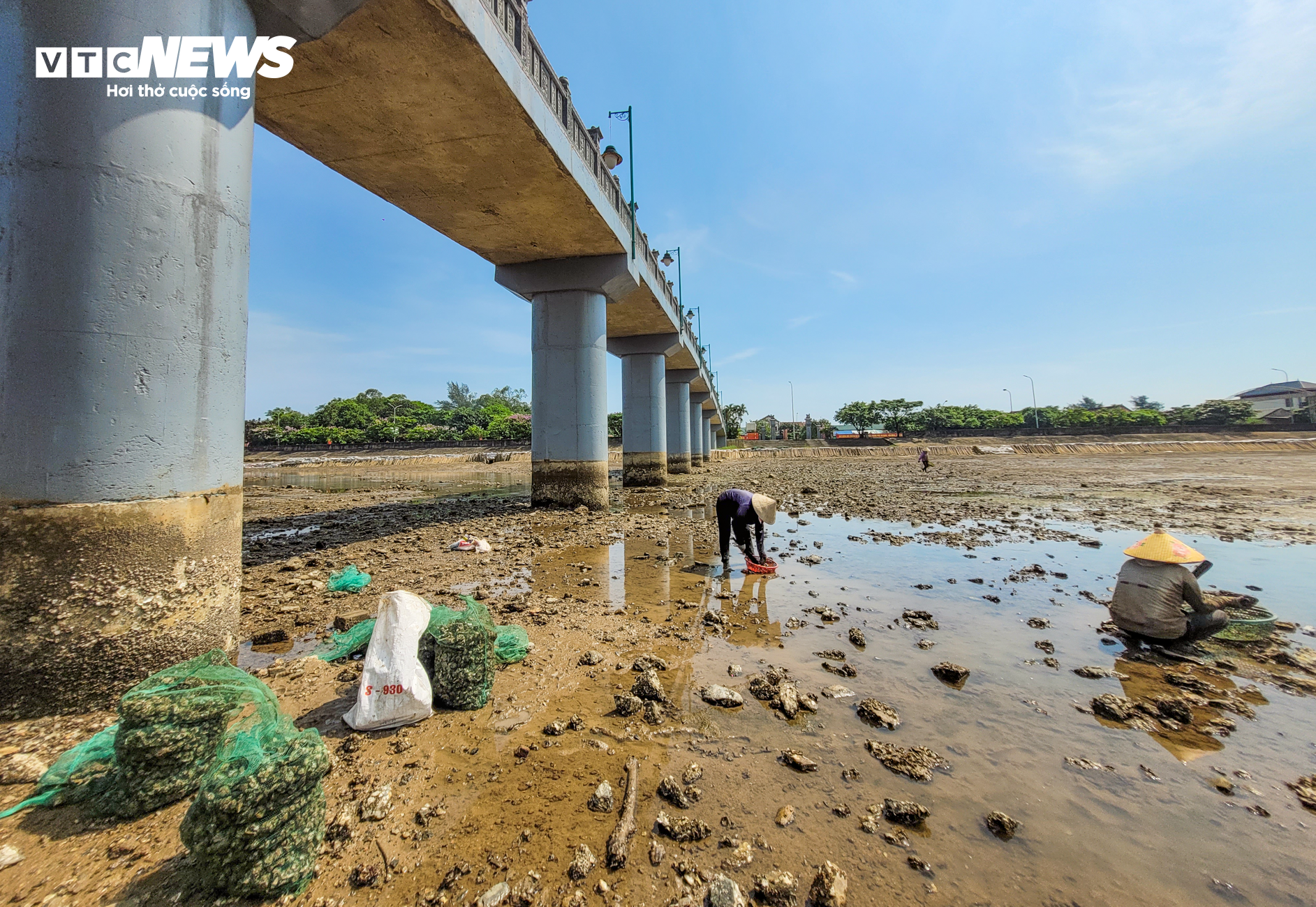 Nghề đẽo đá &quot;ra tiền&quot; của những người phụ nữ vùng biển - Ảnh 4.