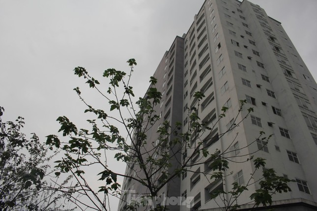18.000 căn hộ tái định cư bị bỏ hoang tại Hà Nội và TP HCM - Ảnh 1.
