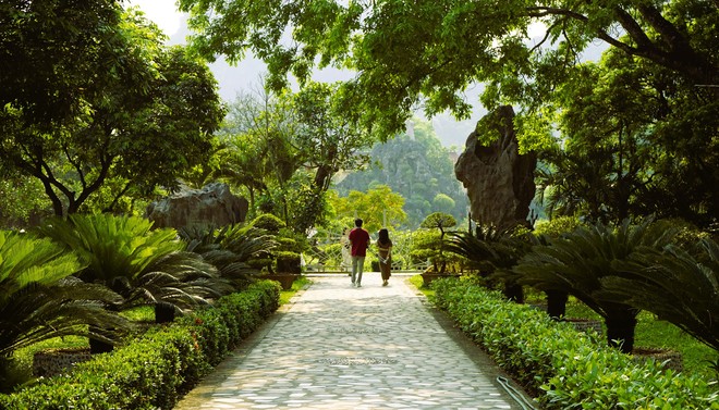 Clip cận cảnh "khu vườn địa đàng" ở Ninh Bình đang hot rần rần, đẹp lung linh như trong những thước phim - Ảnh 15.
