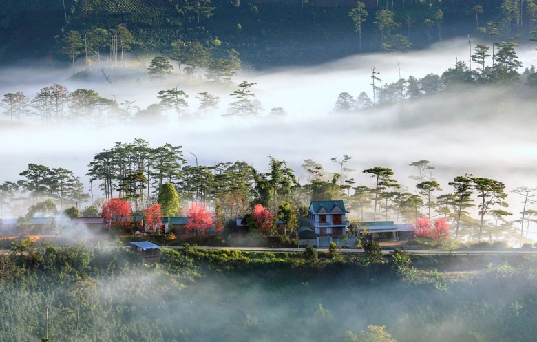 Phát hiện ngôi làng ẩn mình trong sương, là bối cảnh phim của nhà sản xuất Việt nghìn tỷ, ngay gần Đà Lạt