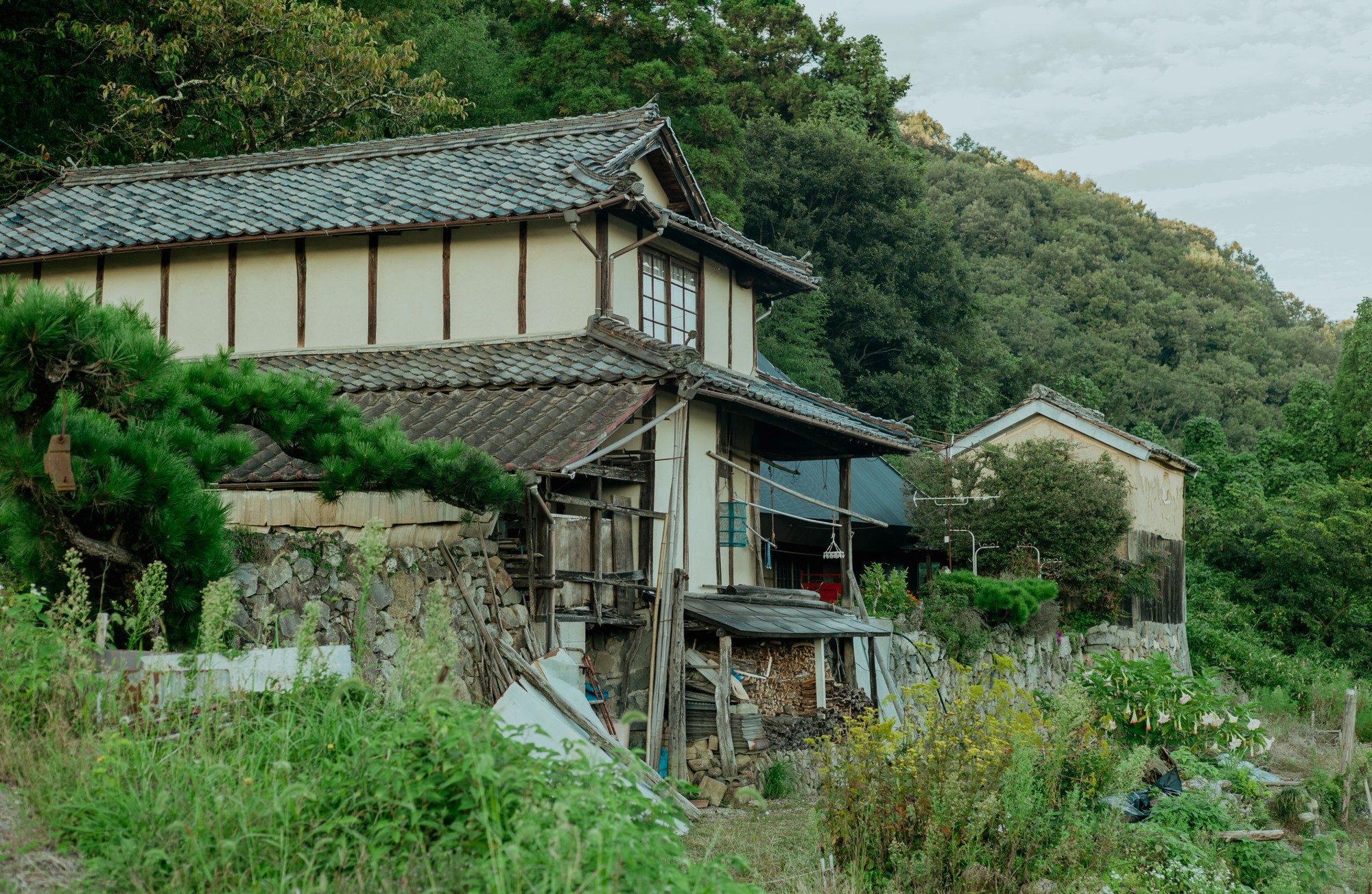 Hơn 9 triệu ngôi nhà hoang ở Nhật: Vì sao nhiều người dân nước này lại &quot;bỏ rơi&quot; bất động sản của mình?- Ảnh 1.