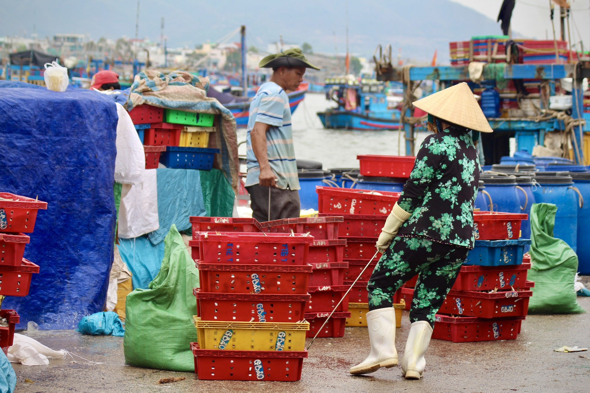 Được mùa cá cơm, phụ nữ vùng biển tất bật mưu sinh - Ảnh 8.