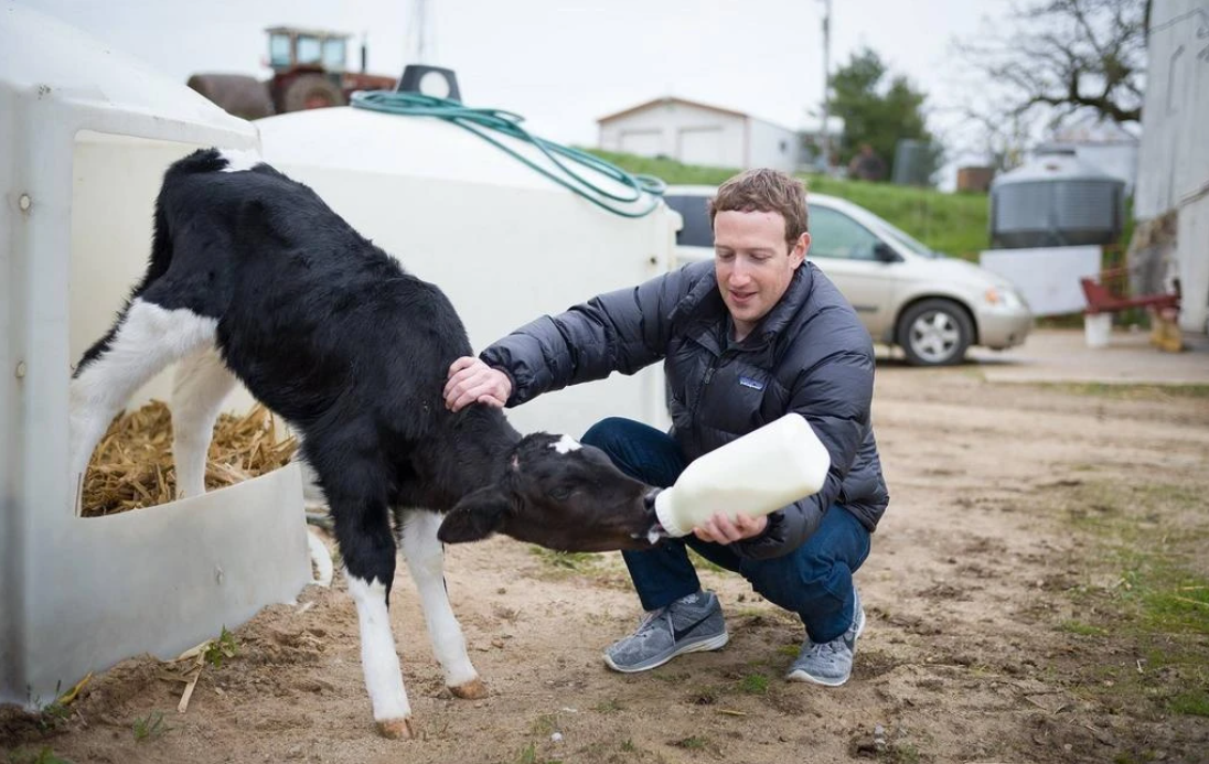 Mark Zuckerberg at age 40: Switched to hip-hop style, liked to herd cows and brew beer - Photo 2.