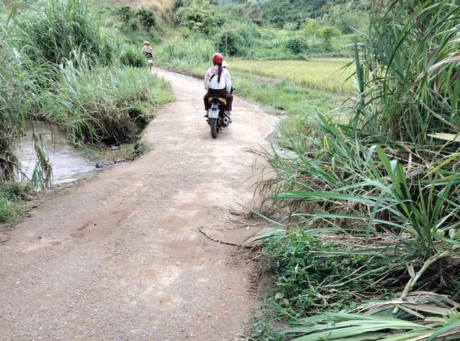 Đi đám cưới về, hai mẹ con bị rơi xuống suối tử vong - Ảnh 1.