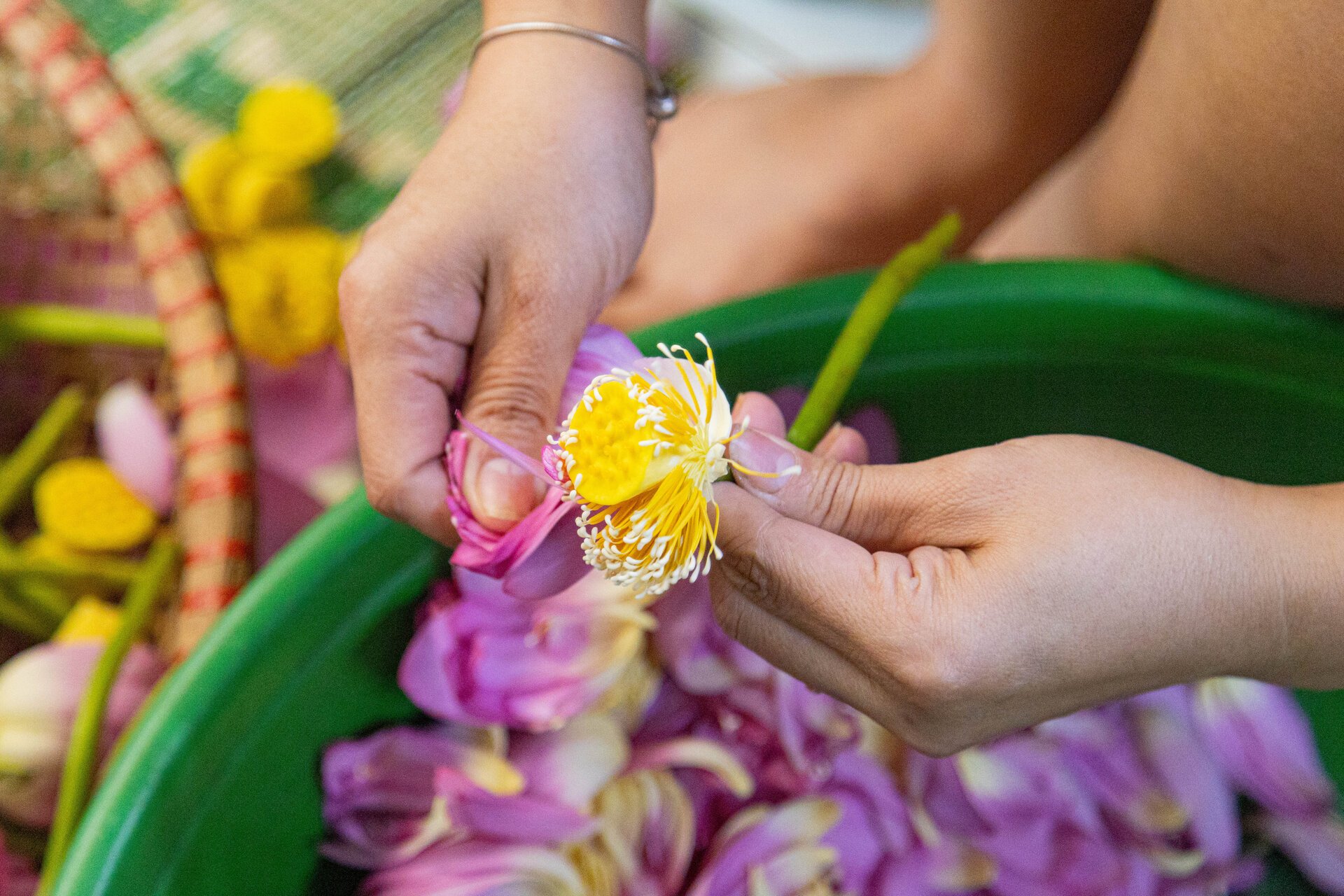 Cận cảnh quy trình ướp loại trà sen đắt đỏ nhất Hà thành, giá chục triệu đồng/kg- Ảnh 9.