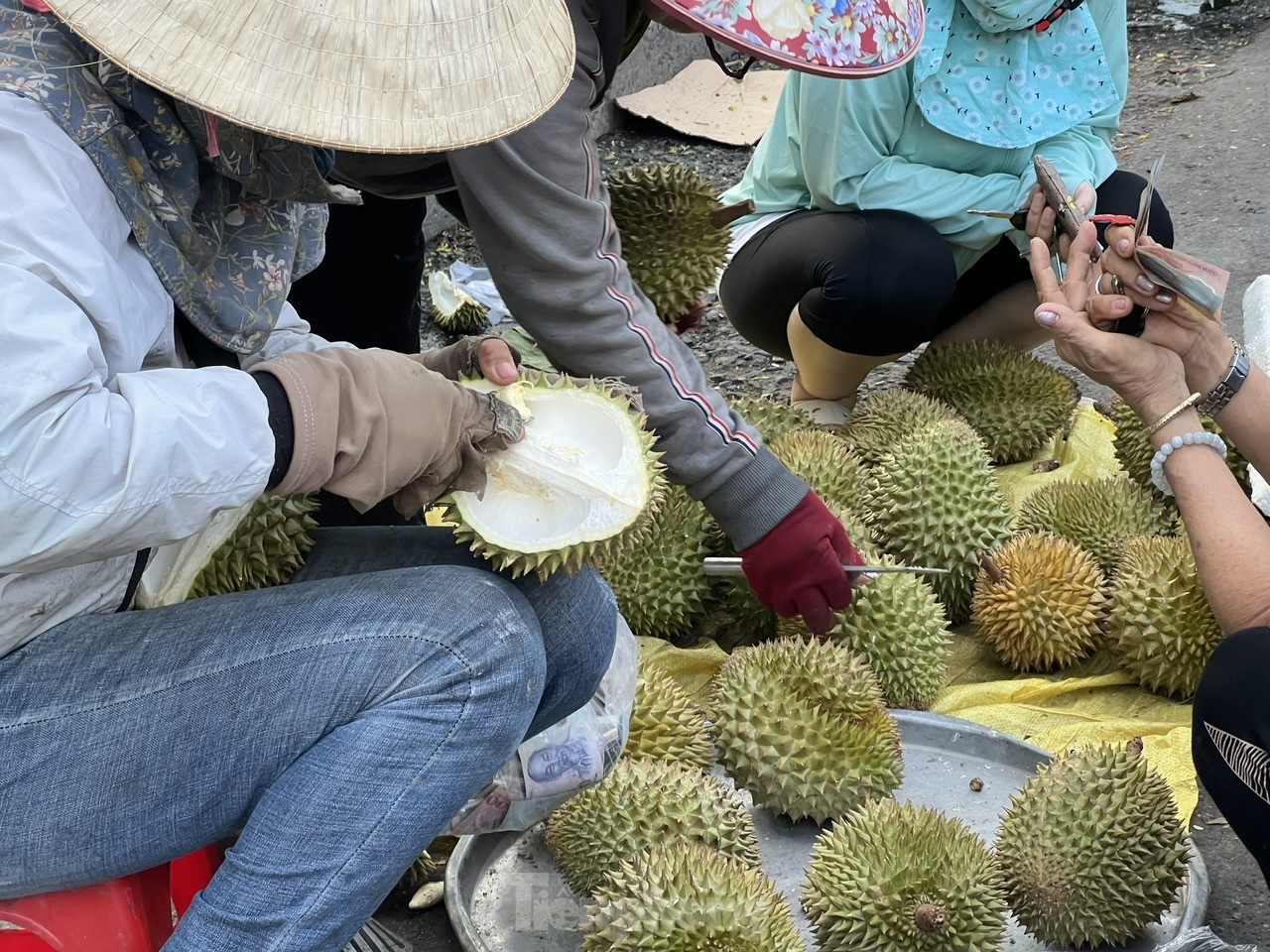 giá sầu riêng