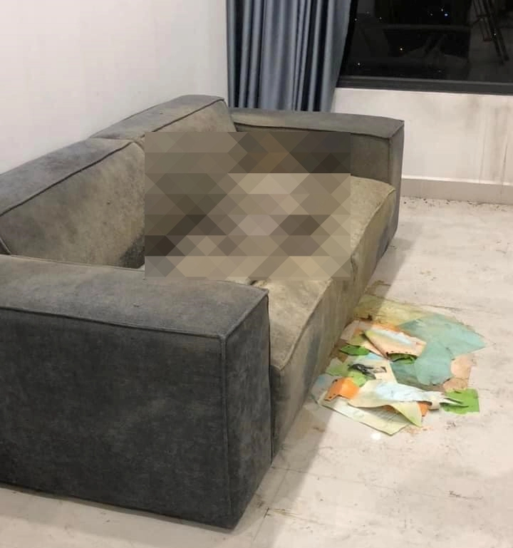 Những điểm nghi vấn vụ thi thể cô gái trên sofa: Người đàn ông bí ẩn và chiếc điện thoại bị tháo sim- Ảnh 2.