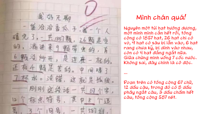 Bài văn 0 điểm của cậu bé tiểu học hot rần rần toàn MXH, khả năng bù số chữ khiến netizen chỉ biết &quot;cam bái hạ phong&quot; - Ảnh 2.