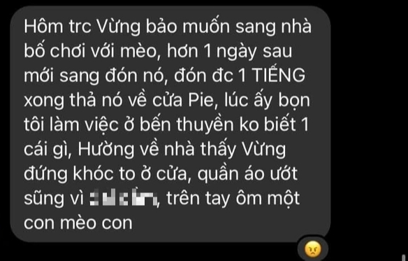 Mẹ vợ lên tiếng vụ Thắng (Ngọt) bị tố tệ bạc với vợ con: 2 năm qua Thắng không còn là người con rể mà tôi đã từng rất yêu quý - Ảnh 5.