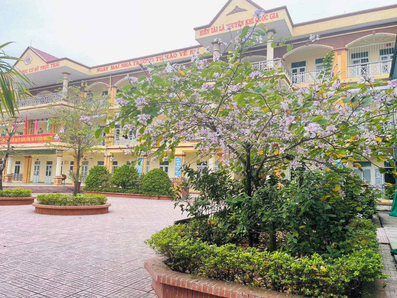 &quot;Đất học Nam Định&quot; có 1 ngôi trường khiến mọi trái tim phải rung rinh: Sao mà đẹp quá đỗi! Từ cổng vào xanh ngát bóng cây - Ảnh 5.