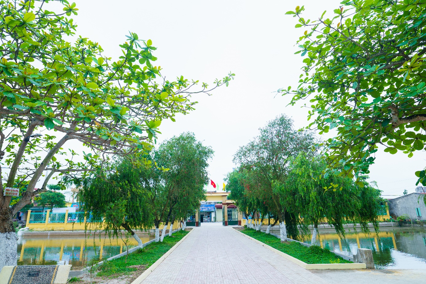 &quot;Đất học Nam Định&quot; có 1 ngôi trường khiến mọi trái tim phải rung rinh: Sao mà đẹp quá đỗi! Từ cổng vào xanh ngát bóng cây - Ảnh 3.