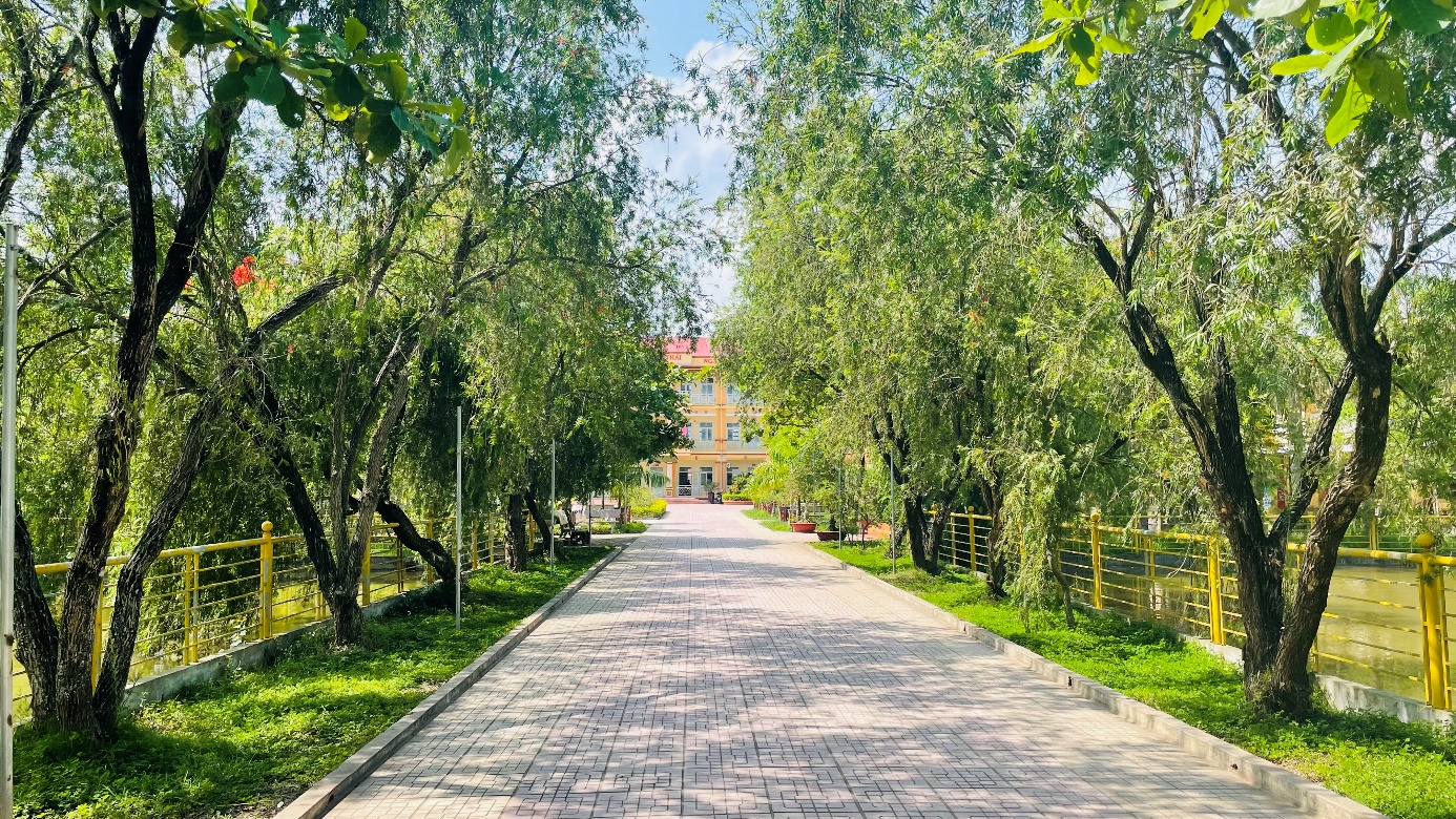 &quot;Đất học Nam Định&quot; có 1 ngôi trường khiến mọi trái tim phải rung rinh: Sao mà đẹp quá đỗi! Từ cổng vào xanh ngát bóng cây - Ảnh 4.