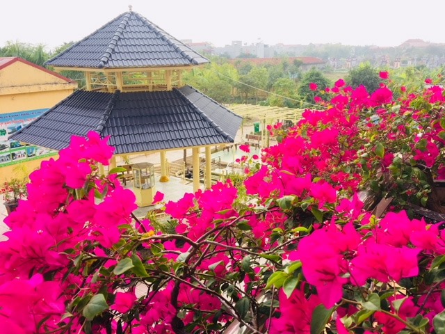 &quot;Đất học Nam Định&quot; có 1 ngôi trường khiến mọi trái tim phải rung rinh: Sao mà đẹp quá đỗi! Từ cổng vào xanh ngát bóng cây - Ảnh 10.