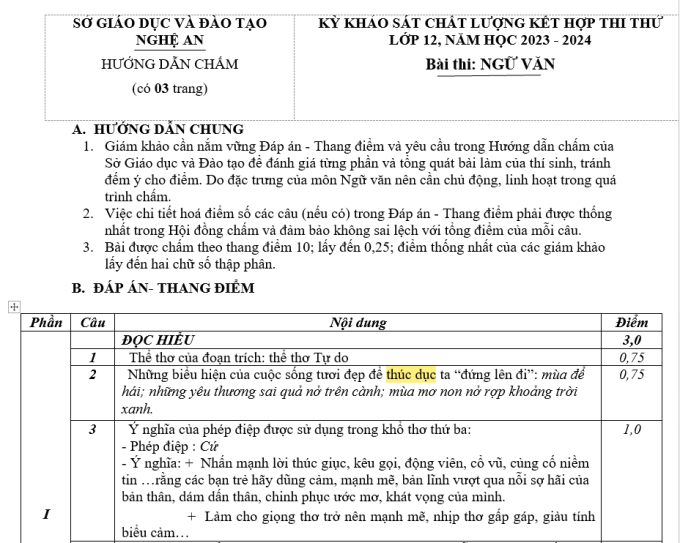 Xôn xao đề thi thử Ngữ văn lớp 12 ở Nghệ An viết sai chính tả một từ đơn giản - Ảnh 2.