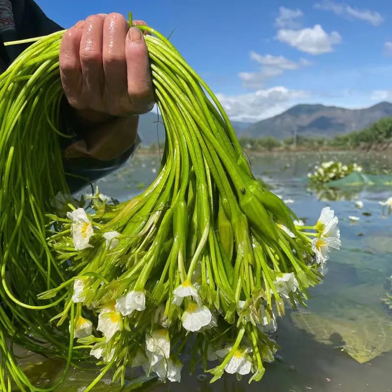 Lạ mà quen trong ẩm thực Vân Nam (Trung Quốc): Có một điểm rất giống với mâm cơm Việt- Ảnh 17.