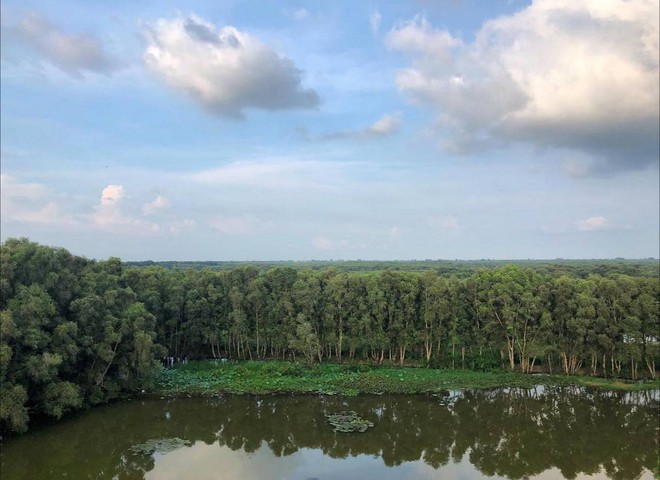 Vườn Quốc gia Tràm Chim - khu Ramsar thế giới của Việt Nam: Mộc mạc, hoang sơ nhưng ẩn chứa vô vàn vẻ đẹp kỳ vĩ