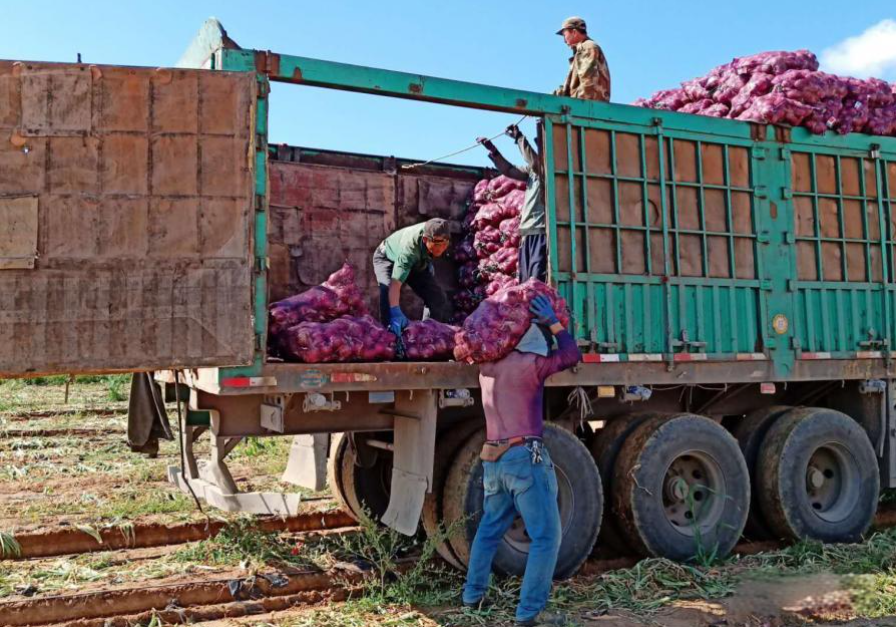 Nhận chở 20.000kg hành cho 1 người đàn ông, tài xế xe tải bất ngờ bị cảnh sát triệu tập: Tổn thất gấp 11 lần so với tiền công! - Ảnh 2.