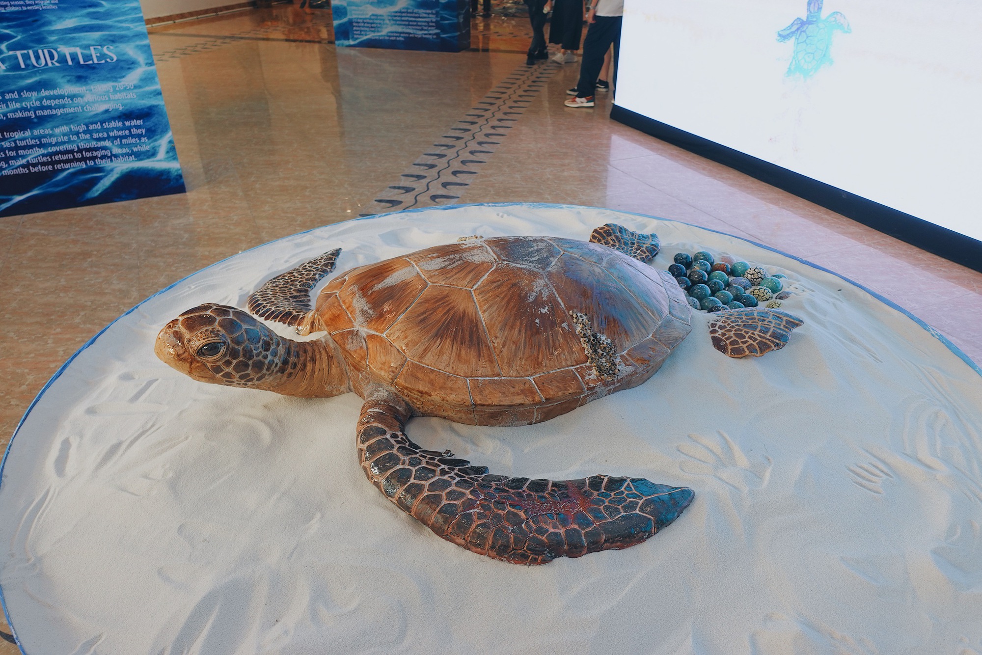 Lạc vào xứ sở rùa biển gốm giữa Hà Nội: Đằng sau khung cảnh biển cực ảo là ý nghĩa vô cùng đặc biệt mà ai cũng nên biết - Ảnh 4.