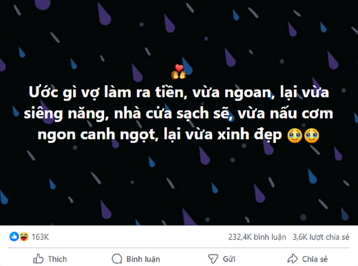 Thanh niên lên mạng tìm vợ hiền, chăm, lắm tiền bị dân mạng 'vùi dập' tơi tả - Ảnh 1.