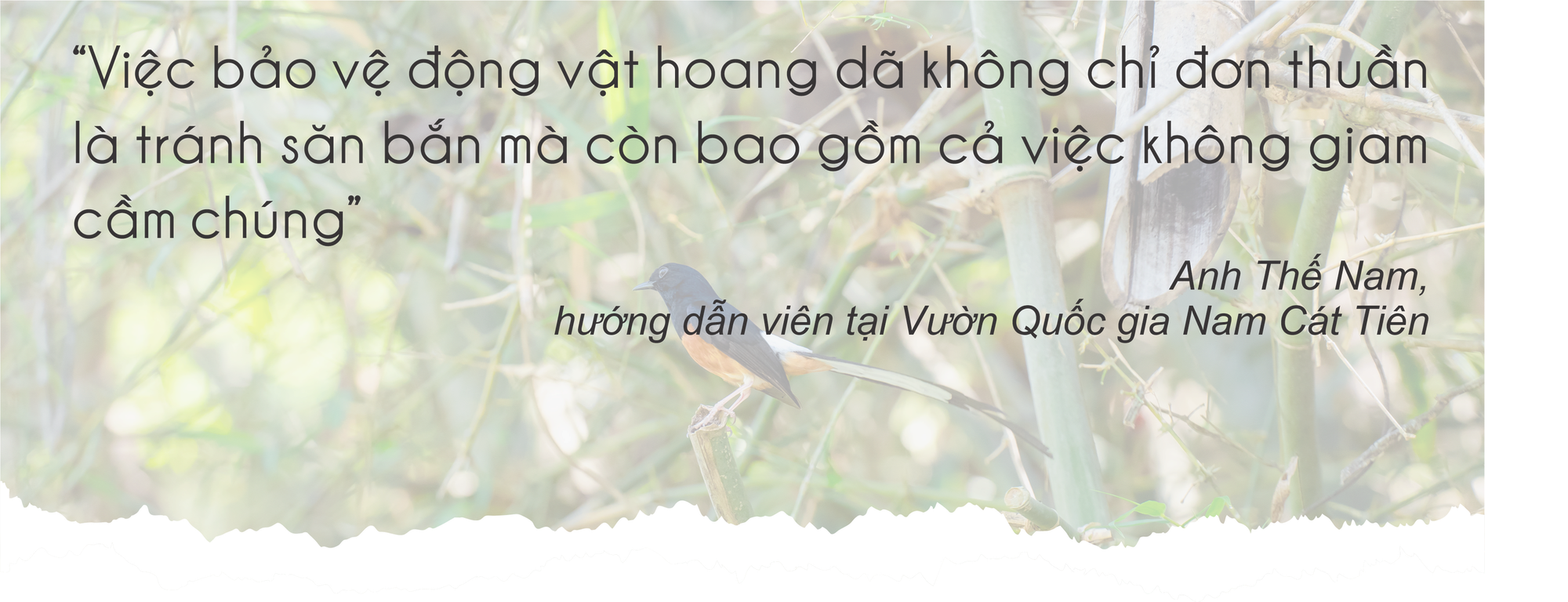 Mùa hè vào Vườn Quốc gia Nam Cát Tiên ngắm thú đêm, xem bướm - Ảnh 17.