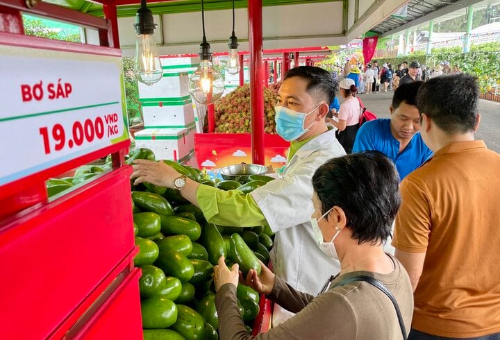 Sầu riêng, vải thiều, bơ khổng lồ... rẻ bất ngờ, khách tấp nập 'mua sập sàn' - Ảnh 5.