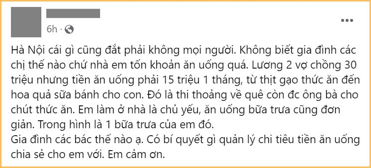 Không cao lương mỹ vị vẫn hết 15 triệu/tháng tiền ăn: Sống ở Hà Nội đắt đỏ đến vậy sao? - Ảnh 2.