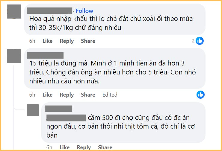 Không cao lương mỹ vị vẫn hết 15 triệu/tháng tiền ăn: Sống ở Hà Nội đắt đỏ đến vậy sao? - Ảnh 6.