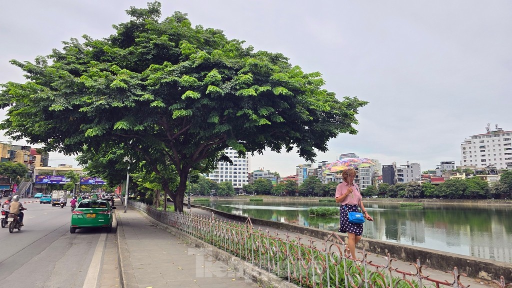 Cận cảnh khu vực quanh hồ Ngọc Khánh sẽ thành phố đi bộ mới ở Hà Nội - Ảnh 6.