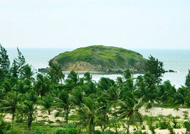 Phát hiện hòn đảo hoang sơ hình thù kỳ lạ ở biển miền Trung, rộng chưa đến 1km2, không có dân sinh sống - Ảnh 6.