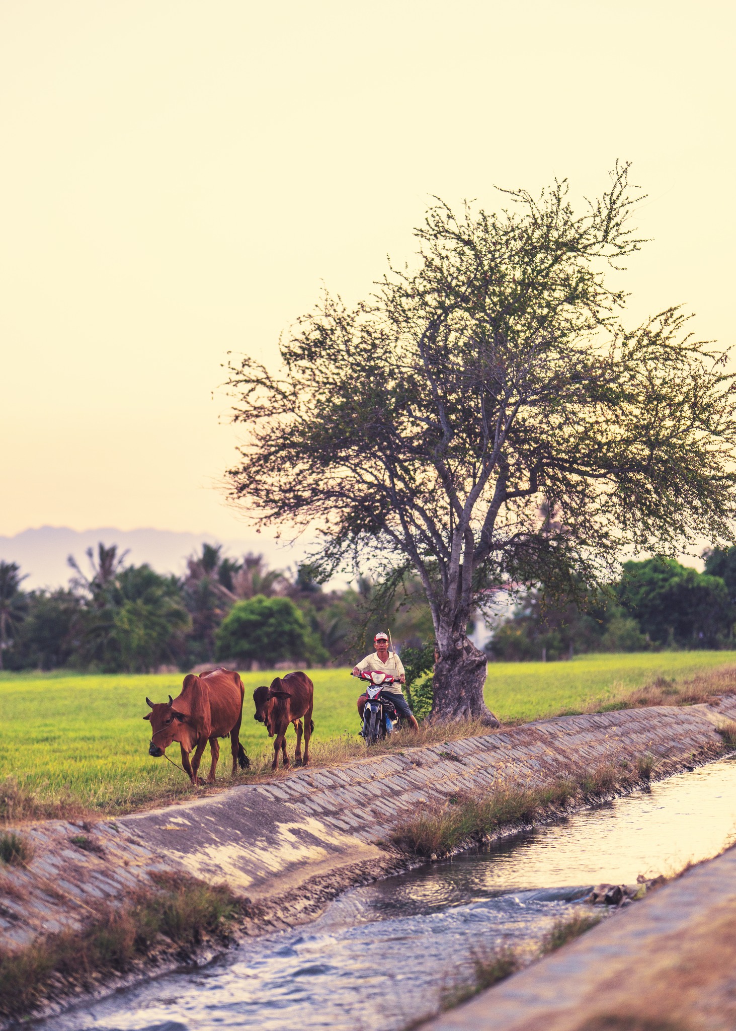 Phan Rang đầy nắng và gió &quot;mê hoặc&quot; gia đình nhỏ, em bé 5 tuổi yêu biển và những góc miền quê gần gũi - Ảnh 6.