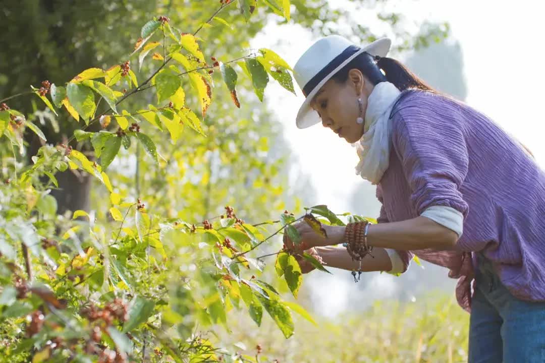 Làng hưu trí dành cho phụ nữ trẻ ở ngoại ô Bắc Kinh: mọi người đều có lịch trình sinh hoạt đều đặn và có thể tự nuôi sống bản thân - Ảnh 8.