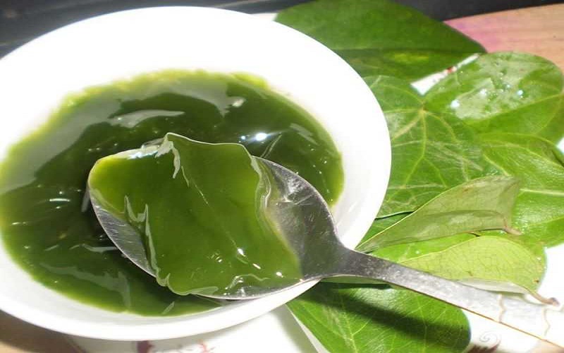 1 loại lá phơi khô có sẵn ở Việt Nam là “dược liệu quý” giúp hạ đường huyết, mát gan, chống ung thư hiệu quả- Ảnh 2.
