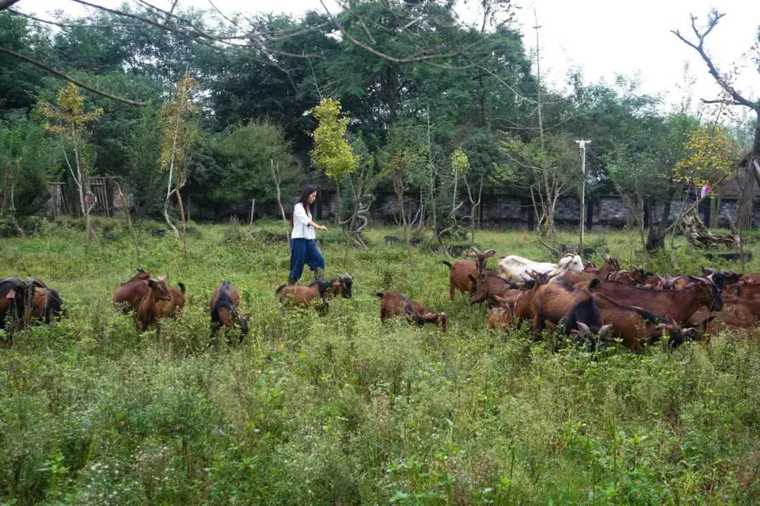 Rời bỏ thành phố lớn, gia đình 3 người về quê xây dựng thiên đường sinh thái biệt lập- Ảnh 27.