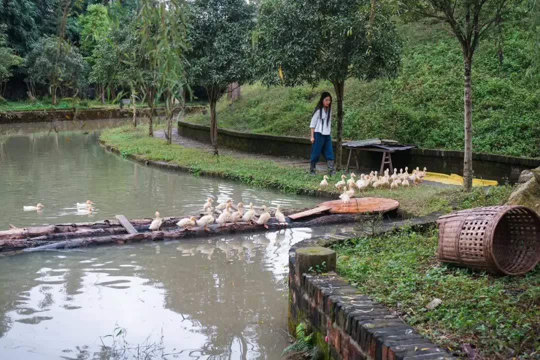 Rời bỏ thành phố lớn, gia đình 3 người về quê xây dựng thiên đường sinh thái biệt lập- Ảnh 9.