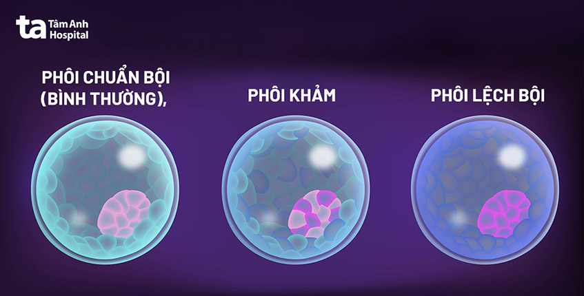 Đoàn Di Băng rưng rưng vì 1 phôi thai bị hỏng lúc 6 tuần, mong chờ 9 tuần để làm Nipt cho thai còn lại - Ảnh 3.