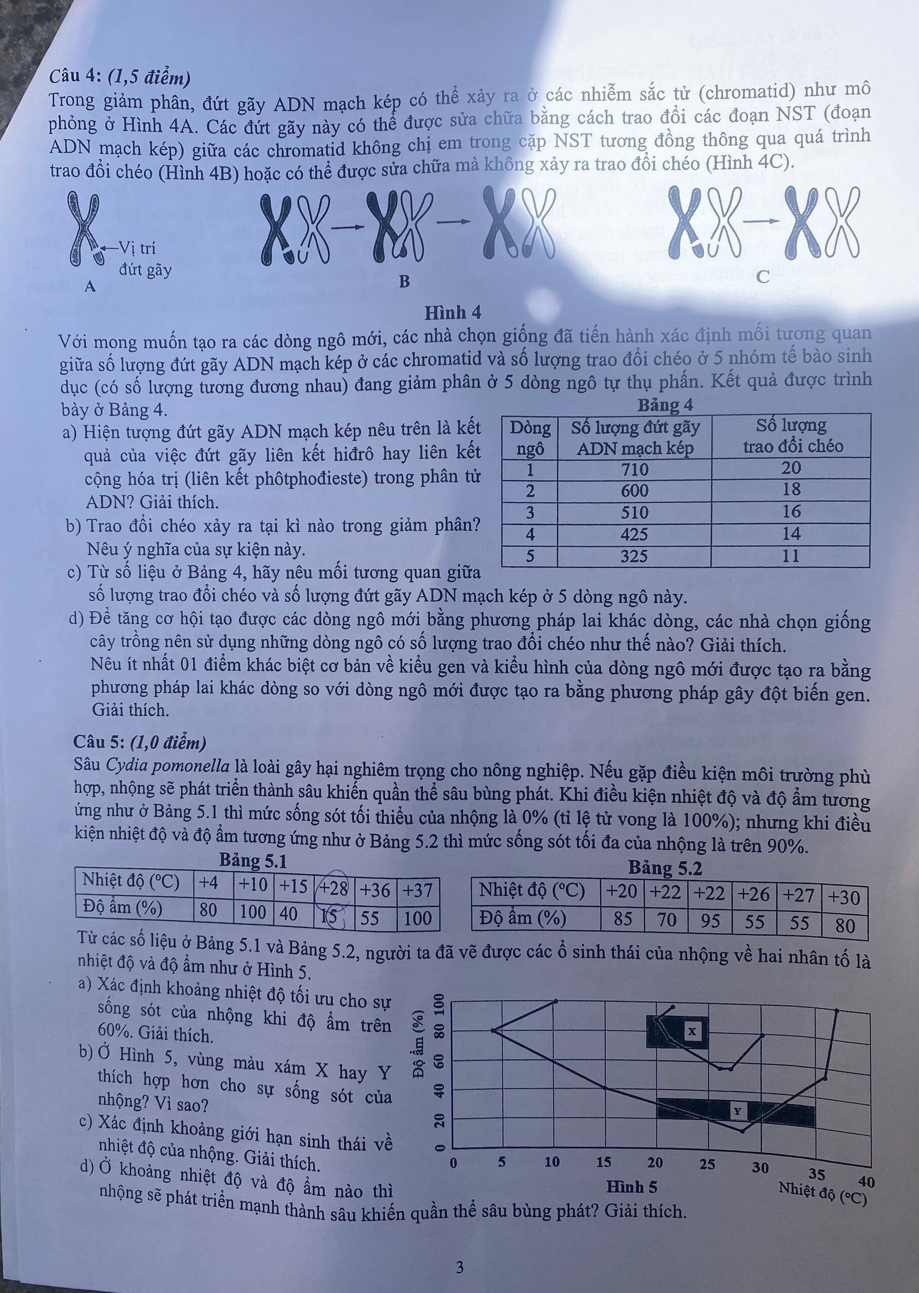 Đề thi Toán, Sinh học vào lớp 10 THPT chuyên Khoa học Tự nhiên Hà Nội - Ảnh 4.
