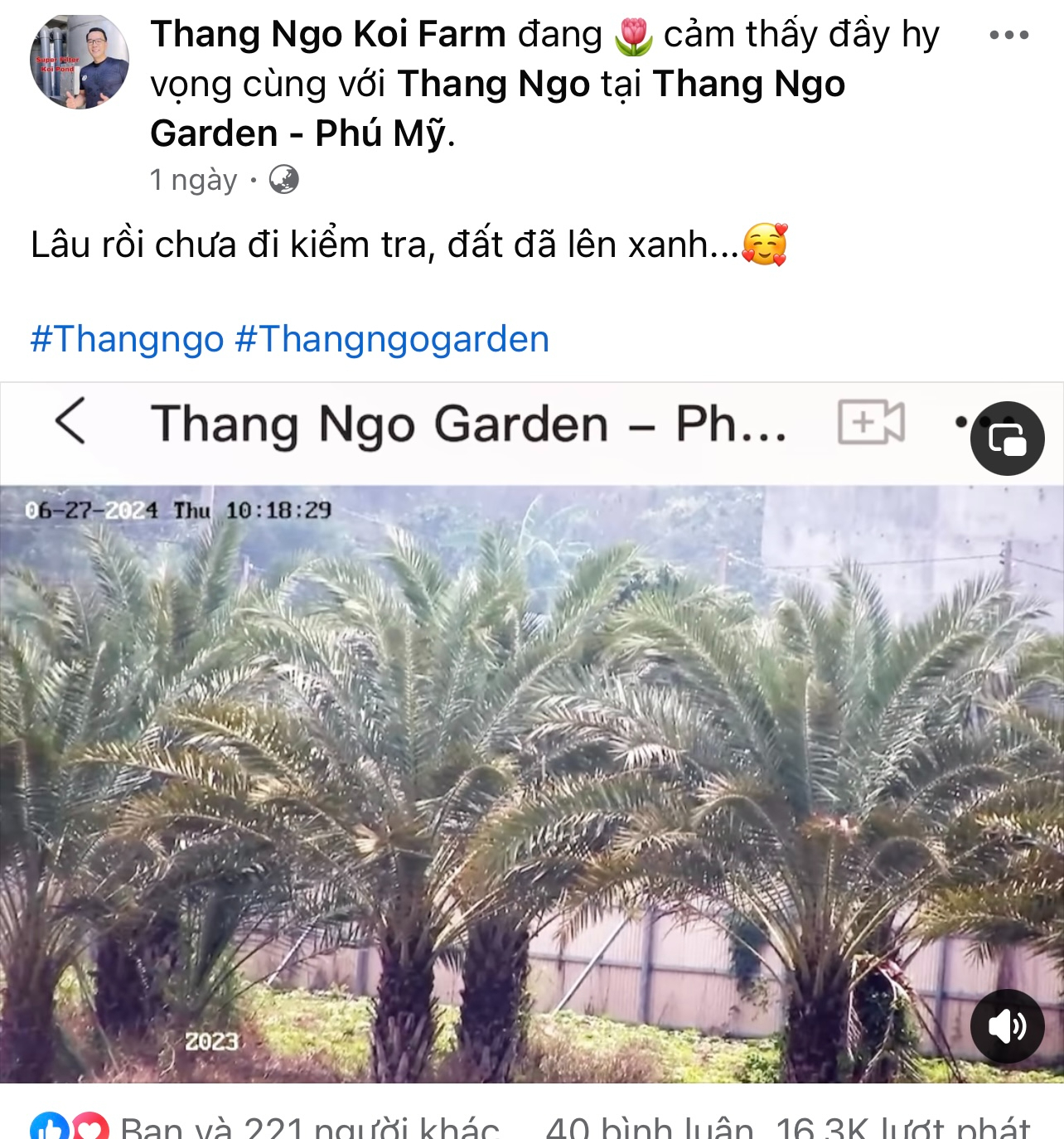 Động thái của &quot;vua cá Koi&quot; Thắng Ngô sau khi ném nhẫn cưới dứt tình với Hà Thanh Xuân- Ảnh 2.