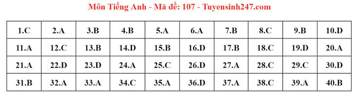 Gợi ý đáp án đề thi môn tiếng Anh lớp 10 Hà Nội năm 2024 - Ảnh 3.